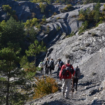 image d'article